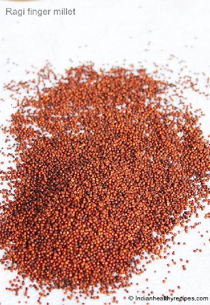 finger millet seeds