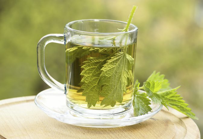 Nettle Buransh Infusion Green Tea