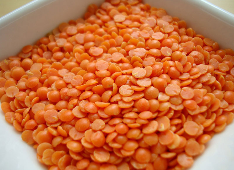 Red Lentil, Style : Dried