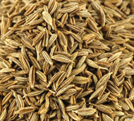 Cumin Seed