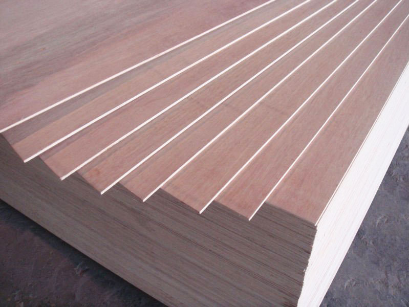 Eucalyptus Plywood