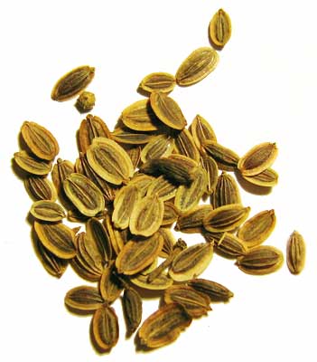 Yellow Dill Seed Oil, Form : Liquid
