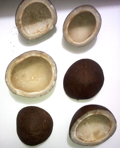 Dessicated Coconut