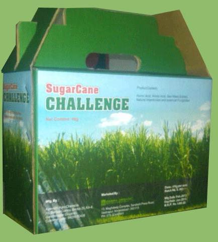 Sugarcane Challenge