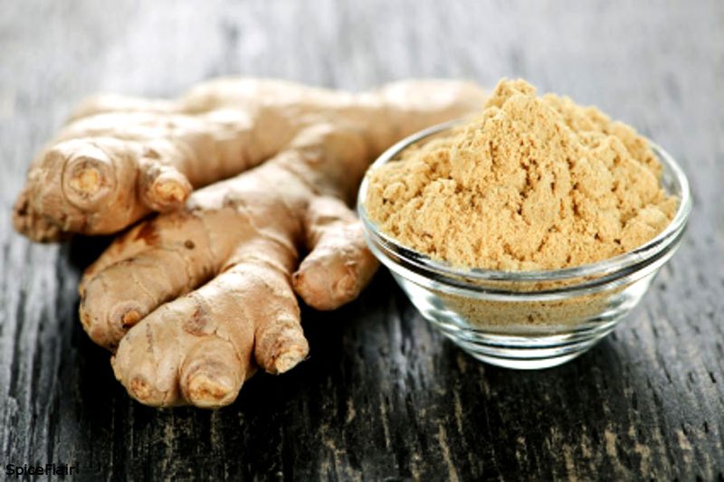 Dehydrated Ginger Powder, for Cooking, Packaging Type : Plastic Packet