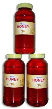 Nectar Honey-02
