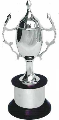Brass Sports Trophy (s-259)