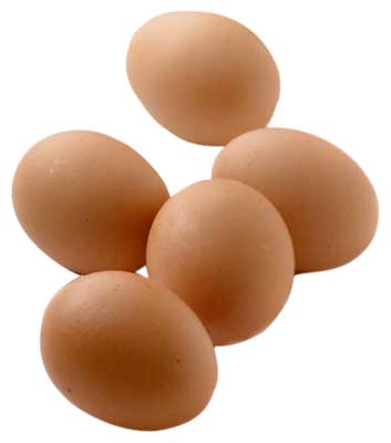 Brown Chicken Eggs