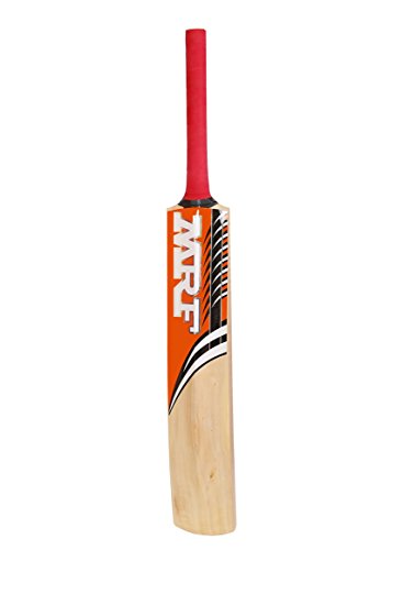 MRF Prodigy Kashmir Willow Cricket Bat _ Sporting Goods