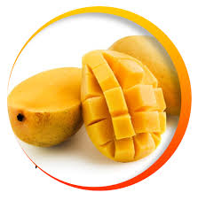 Organic Chaunsa Mango, Certification : FSSAI Certified