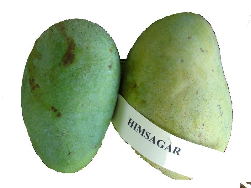 Himsagar Mango