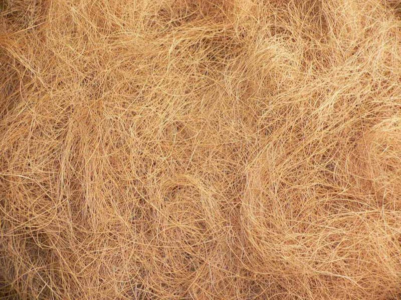 Coconut Coir Fiber, for Dusting Wiper, Mats, Ropes, Pattern : Raw