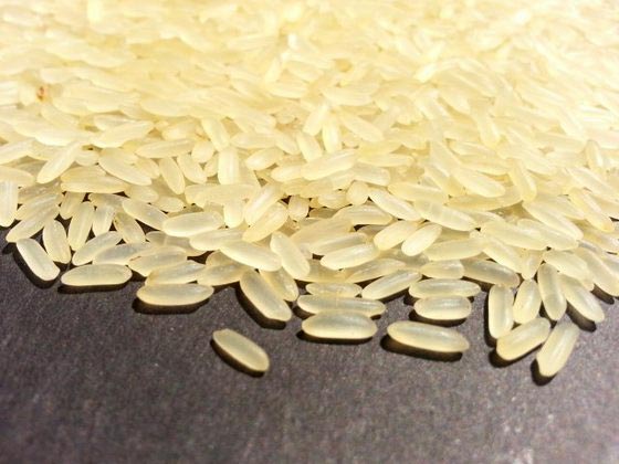 Organic ir 64 parboiled rice, Certification : ISO 9001:2008 Certified
