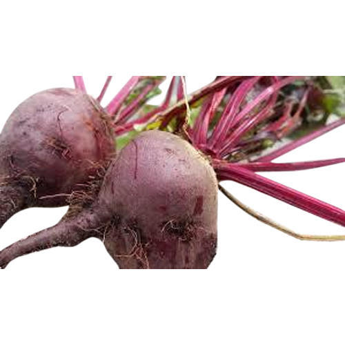 Fresh beetroot, Quality Available : A Grade