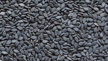 Black Sesame seed