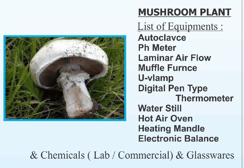 Mushroom Cultivation Machine