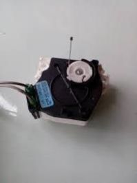 Washing Machine Drain Motor