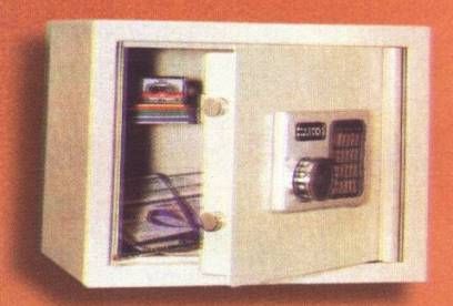 Electronic Safe