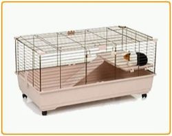 Animal Cages