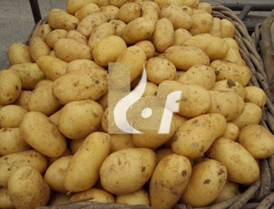 Chipsona-I Potatoes