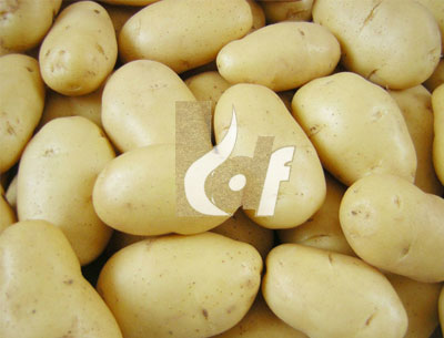 Pukhraj Potatoes