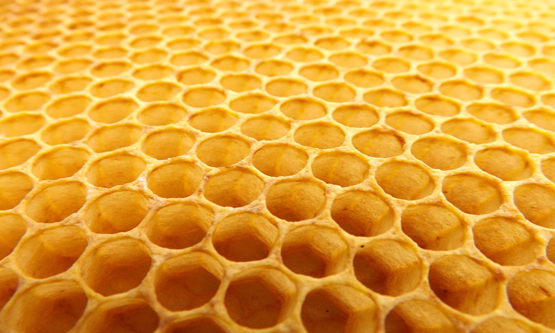 Honeycomb Making Adhesives