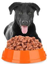 PET FOOD - CHUNKS IN JELLY