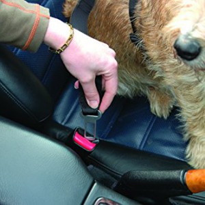 Animals Clix Car Safe