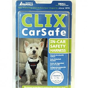 Clix Car Safe