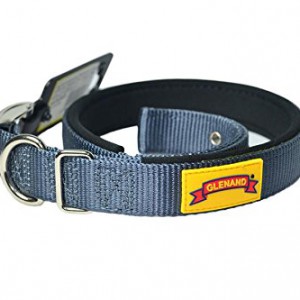 1 inch grey colour Glenand padded collar