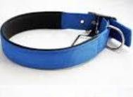 JUST DOGS 1 Double Thick Collar