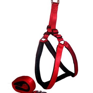 Paws For A Cause High Quality Nylon With Black Padding Dog Harness 1.25 Inch Red