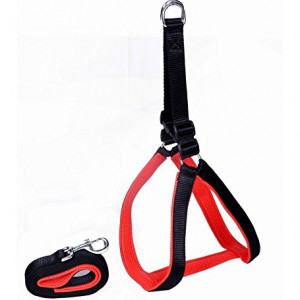 1 Inch Black Nylon Red Padding Dog Harness