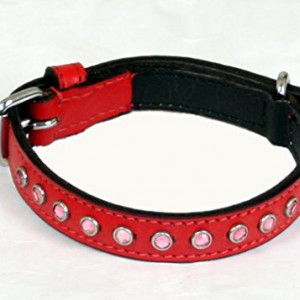 SMALL RED DOG COLLAR