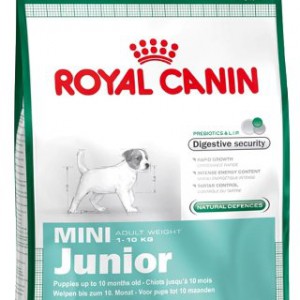 4 kg Royal Canin Mini Junior dog food