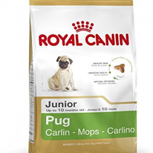 1 kg Royal Canin Pug Junior Complete Dog Food