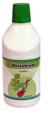 Rhizobium Biofertilizer