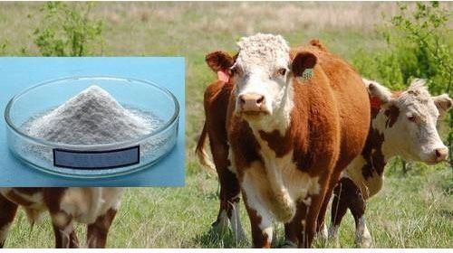 Animal Vitamin E Supplement