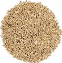 Canary Seed