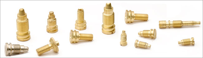 Brass Exasting Screw