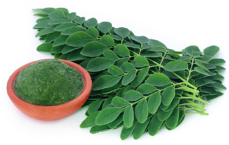 Moringa Leaves