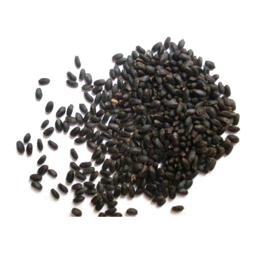 Rama Tulsi Seeds