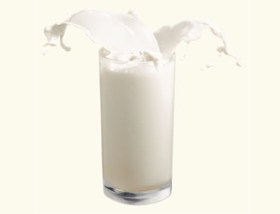 milk premix
