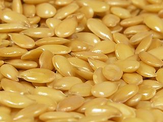 High Quality Golden Flax Seeds