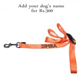 HUFT Barklays Dog Leash - Orange - XL