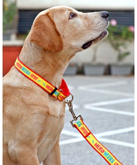 HUFT Hero Heera Lal Martingale Dog Collar