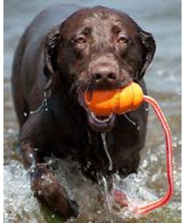 Orange Kong Aqua Floating Dog Toy