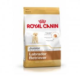 Royal Canin Labrador Retriever Junior Dog Food