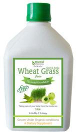 WHEAT GRASS (WITH ALOEVERA & AMLA) JUICE.