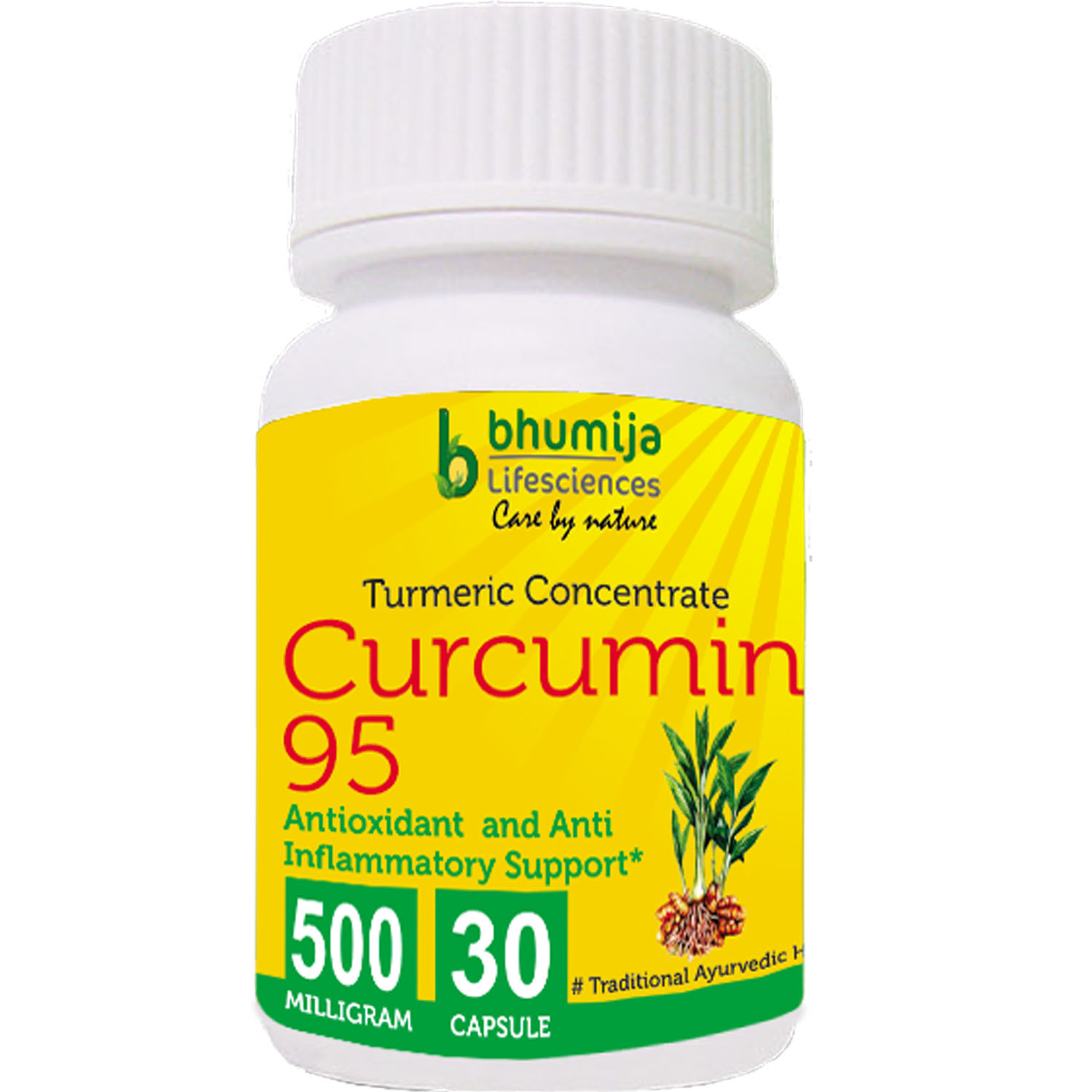 Bhumija Lifesciences Curcumin 95 Capsules